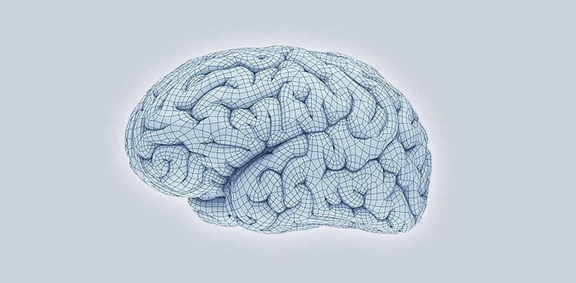 Мозок та неврологія