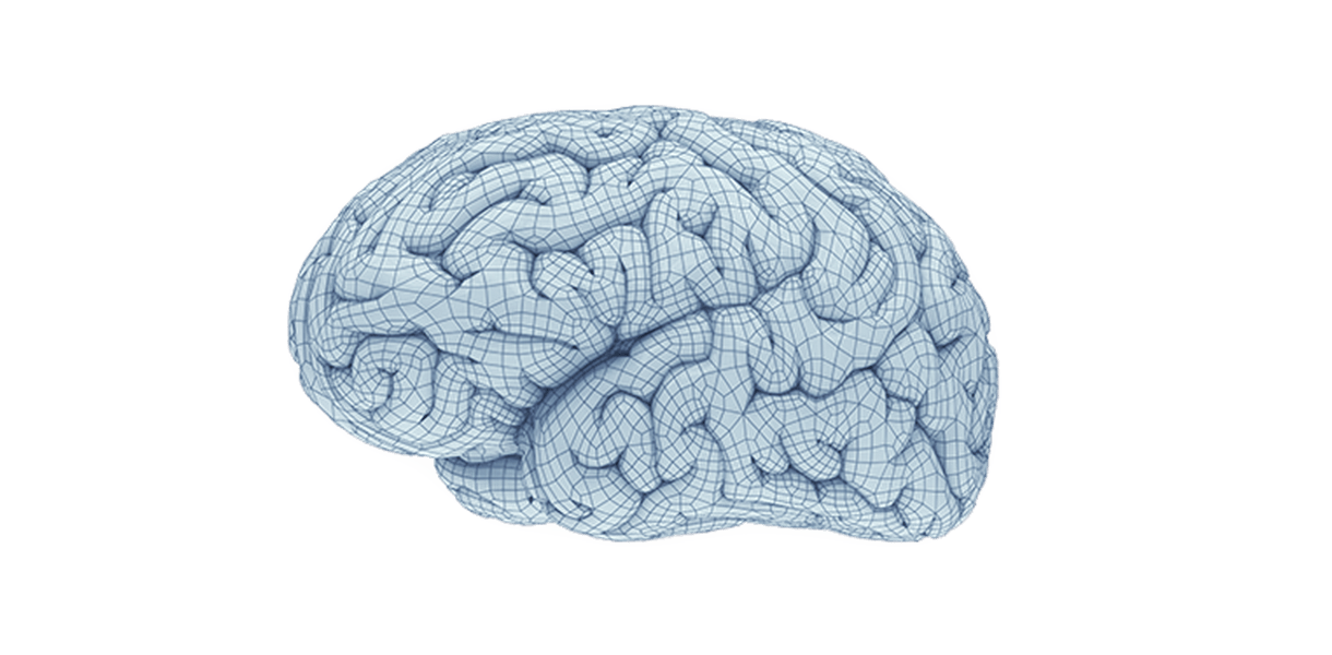 Мозок та неврологія